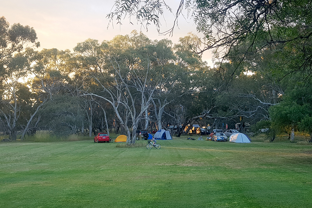 Book a deluxe Yarriambiance campsite on HICAMP